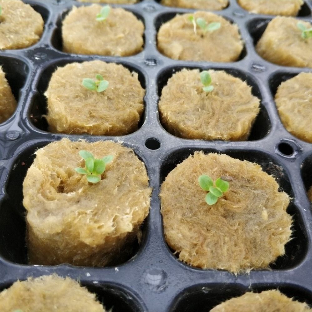 50PCS 27*20mm Size Hydroponic  - Nursery Plug Tray 评论和价格