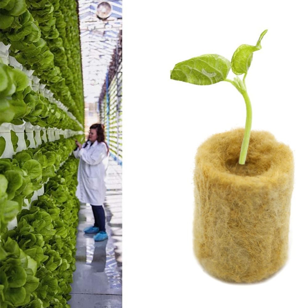 50PCS 27*20mm Size Hydroponic  - Nursery Plug Tray 评论和价格