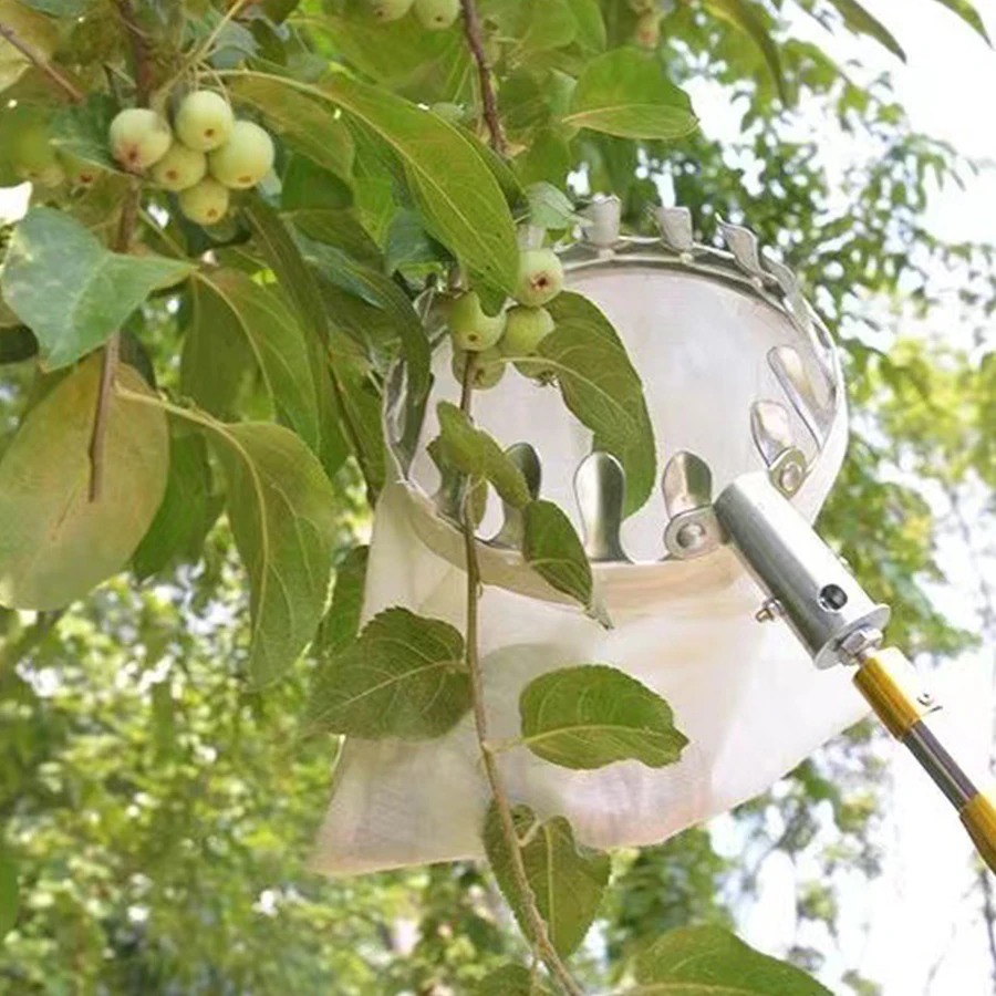 Professional Berry Picker Tool - Agriculture Farming Tool 评论和价格