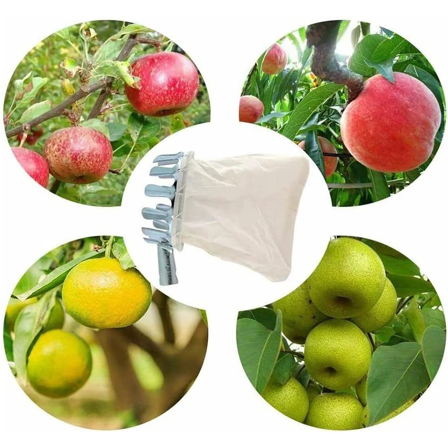 Professional Berry Picker Tool - Agriculture Farming Tool 评论和价格
