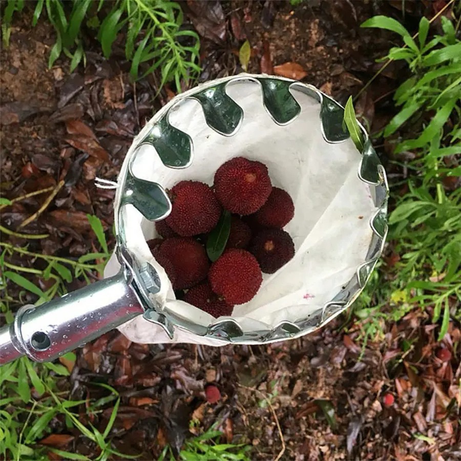 Professional Berry Picker Tool - Agriculture Farming Tool 评论和价格