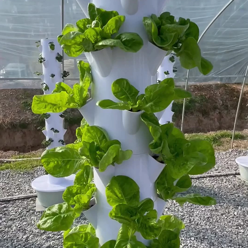 With Led Grow Light Space Tree - Vegetable Transplanter 评论和价格