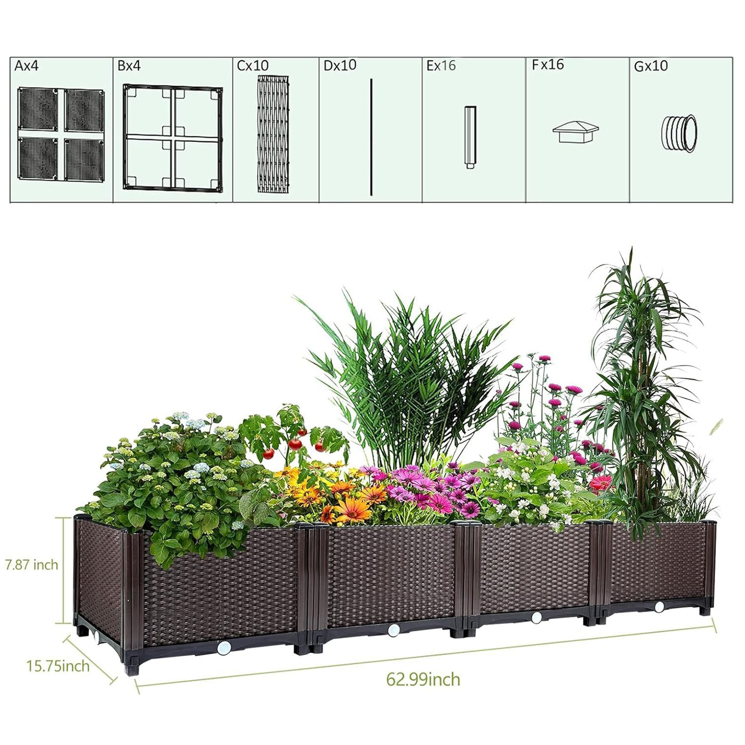 Self-Watering Raised Garden Be - Vegetable Transplanter 评论和价格