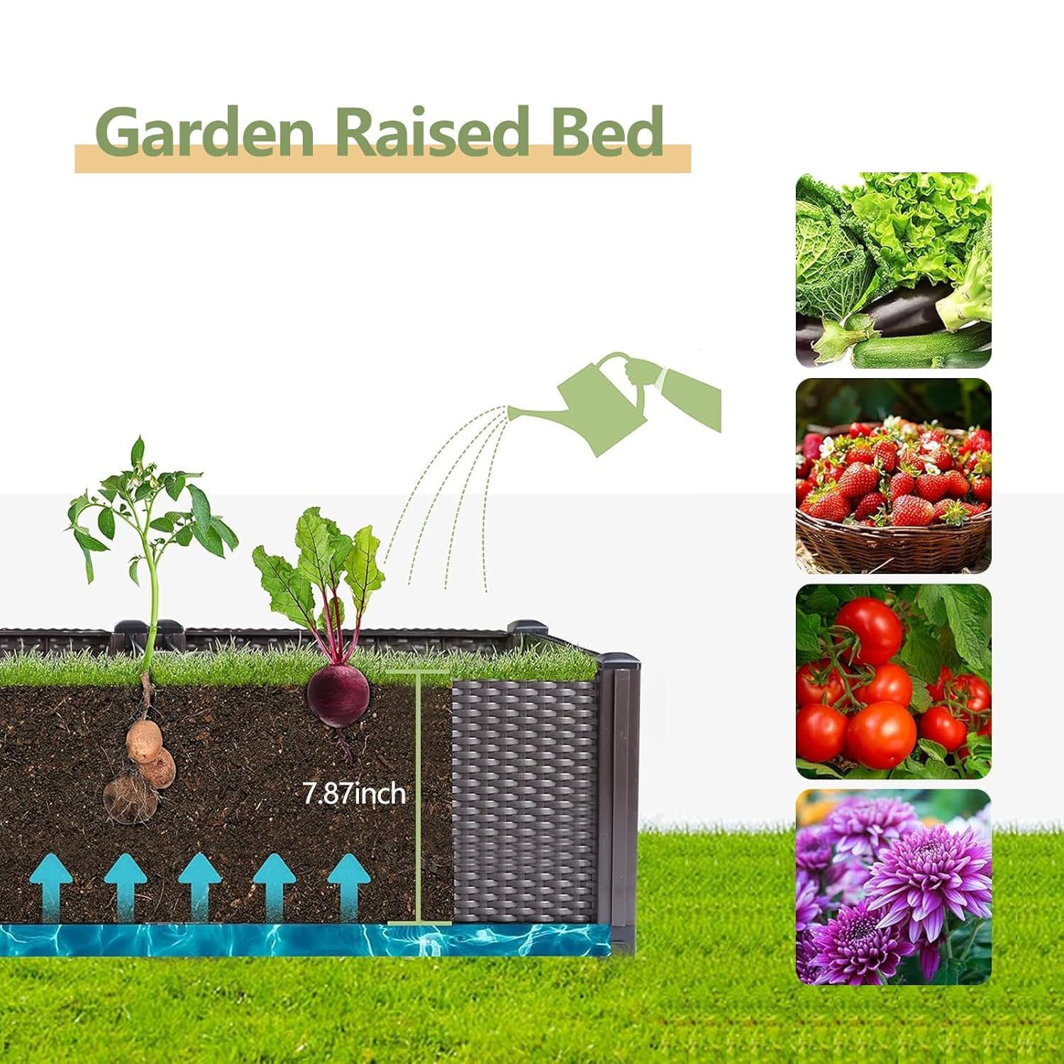 Self-Watering Raised Garden Be - Vegetable Transplanter 评论和价格